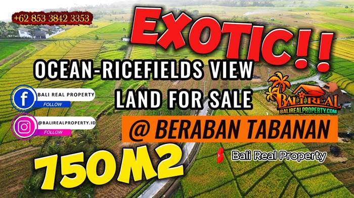 TANAH MURAH di TABANAN BALI Untuk INVESTASI TJTB853