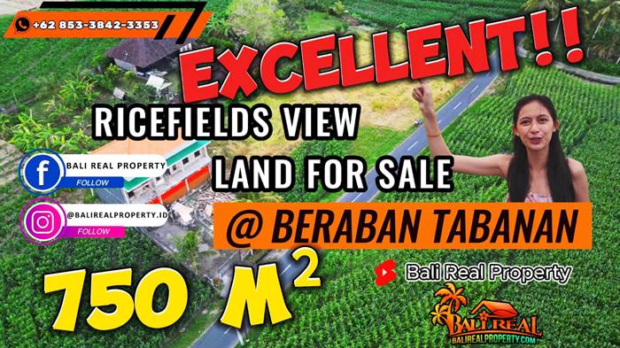 JUAL TANAH DI TABANAN BALI 7.5 Are di Selemadeg Timur