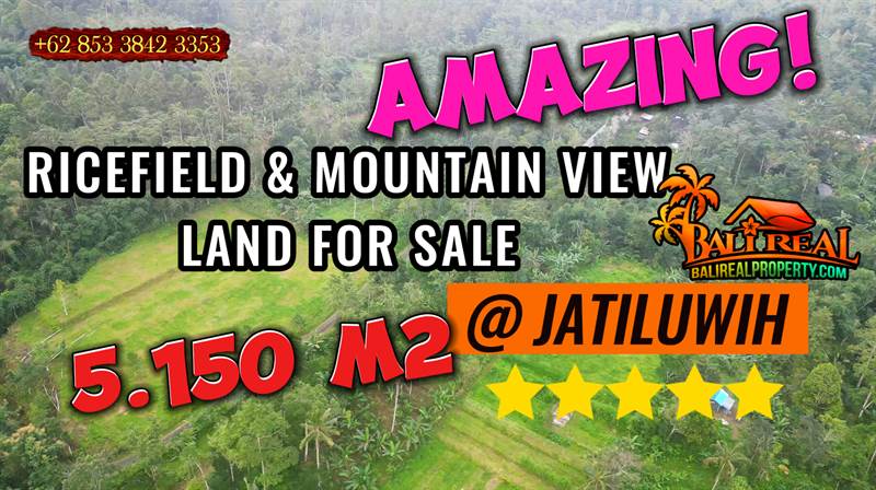 TANAH di TABANAN BALI JUAL MURAH 51.5 Are View Hutan dan Gunung