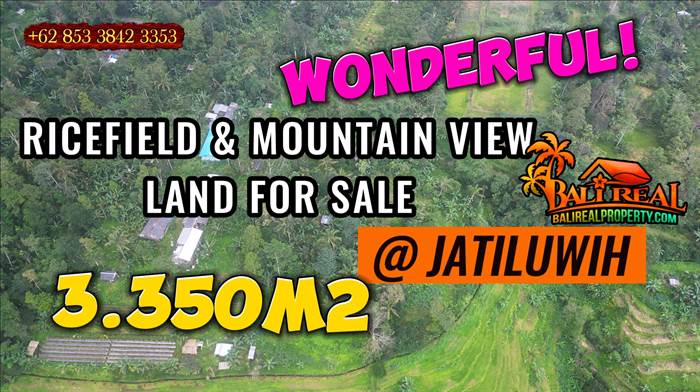 TANAH di TABANAN BALI DIJUAL MURAH TJTB834