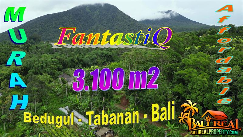 TANAH MURAH di TABANAN BALI Untuk INVESTASI TJTB803