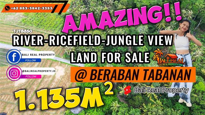 TANAH di TABANAN BALI DIJUAL MURAH Untuk INVESTASI TJTB850