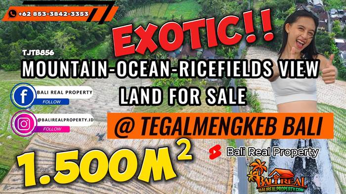 TANAH di TABANAN BALI JUAL MURAH 15 Are View Sawah, Gunung dan Laut dekat Pantai
