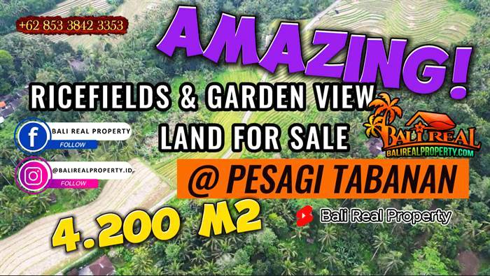 JUAL TANAH MURAH di TABANAN BALI 53 Are di Penebel