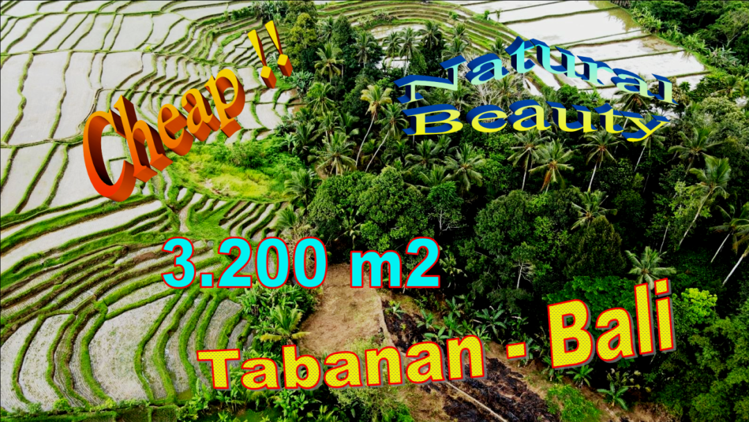 JUAL TANAH MURAH di TABANAN 32 Are View sawah dan Gunung