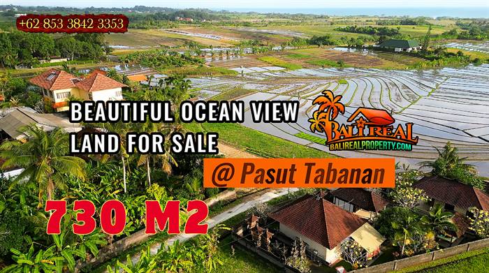 INVESTASI PROPERTY, JUAL TANAH DI TABANAN BALI TJTB825