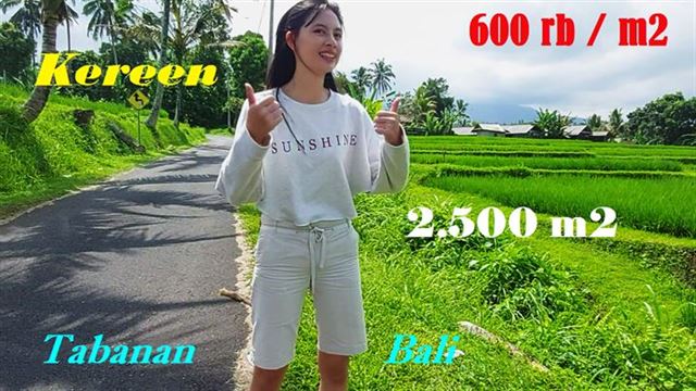 INVESTASI PROPERTI, DIJUAL MURAH TANAH di TABANAN TJTB594
