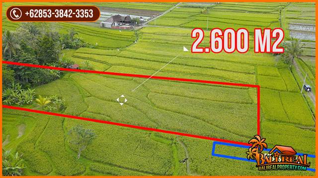 TANAH MURAH di TABANAN BALI DIJUAL 2,500 m2 View Sawah dan Gunung