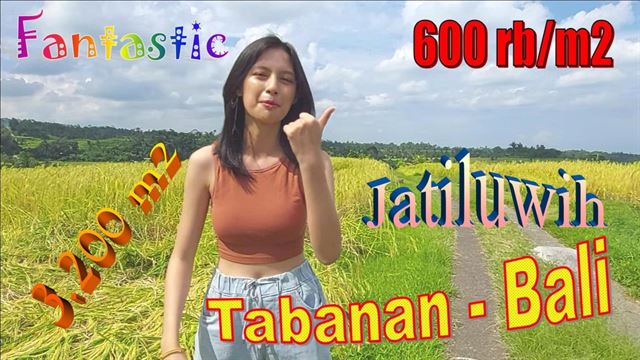 JUAL TANAH DI TABANAN 3,200 m2 View sawah, Gunung dan Laut