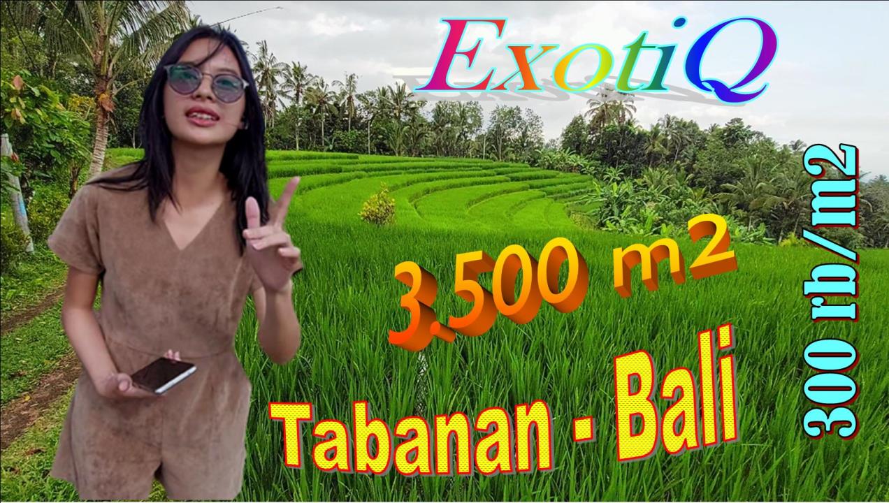 JUAL TANAH MURAH di TABANAN 35 Are View sawah Dan Laut