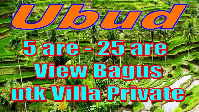 Dicari Tanah di kawasan Ubud dg View Bagus utk Villa