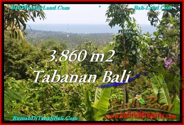 DIJUAL TANAH di TABANAN BALI 3,860 m2 di Tabanan Selemadeg
