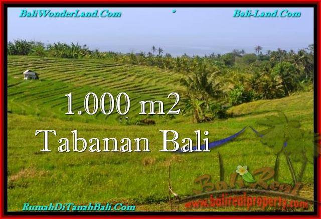 TJTB237 JUAL TANAH DIJUAL DI TABANAN - LAND FOR SALE IN BALI 1