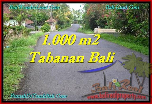TJTB243 JUAL TANAH DIJUAL DI TABANAN BALI - LAND FOR SALE IN TABANAN BALI 1