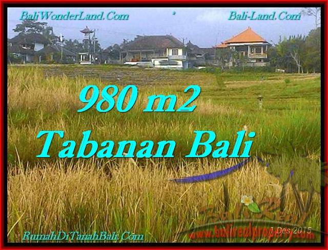 TJTB244 JUAL TANAH DIJUAL DI TABANAN BALI - LAND FOR SALE IN TABANAN BALI 1