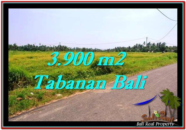 DIJUAL TANAH di TABANAN BALI 3,900 m2 di Tabanan Selemadeg