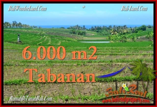 TANAH di TABANAN BALI DIJUAL MURAH 6,000 m2  View Laut, Gunung dan sawah