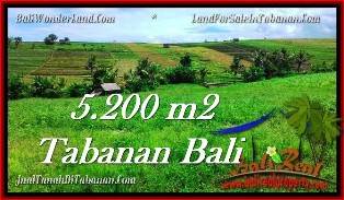 TANAH MURAH JUAL di TABANAN BALI 52 Are View sawah dan sungai