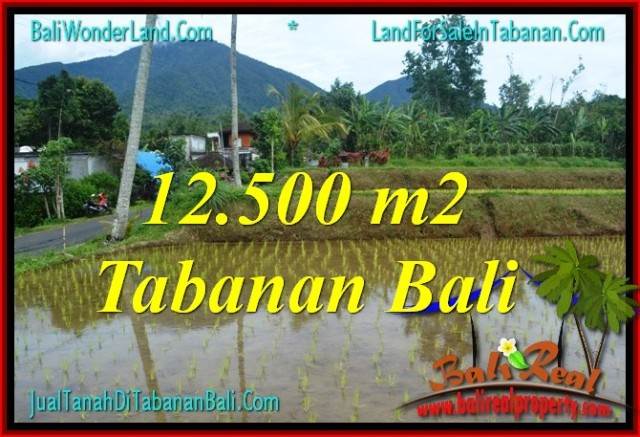 TANAH MURAH di TABANAN BALI DIJUAL 12,500 m2 di Tabanan Penebel