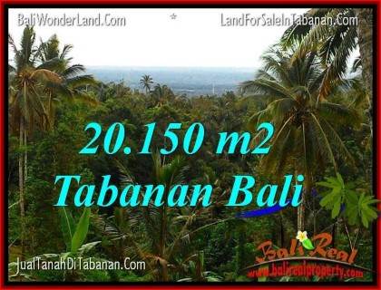 DIJUAL MURAH TANAH di TABANAN 201.5 Are di Tabanan Penebel