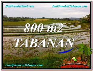TANAH DIJUAL di TABANAN Untuk INVESTASI TJTB324