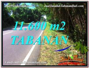 JUAL TANAH MURAH di TABANAN 11,600 m2 di Tabanan Selemadeg