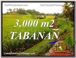 TANAH MURAH DIJUAL DI TABANAN BALI 3,000 m2  View gunung dan sawah