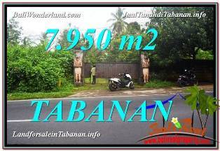JUAL TANAH di TABANAN BALI 79.5 Are View Kebun