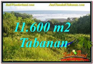 TANAH DIJUAL di TABANAN BALI Untuk INVESTASI TJTB340