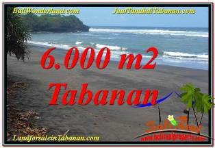 TANAH MURAH di TABANAN DIJUAL 60 Are View laut dan sawah