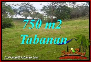 TANAH di TABANAN BALI DIJUAL MURAH 750 m2 di Tabanan Selemadeg