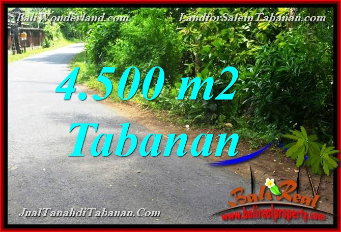 TANAH MURAH di TABANAN DIJUAL Untuk INVESTASI TJTB380