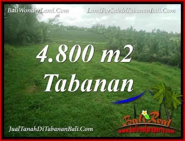 JUAL TANAH MURAH di TABANAN BALI 4,800 m2 di TABANAN SELEMADEG