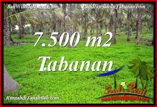 INVESTASI PROPERTI, TANAH di TABANAN BALI DIJUAL TJTB390