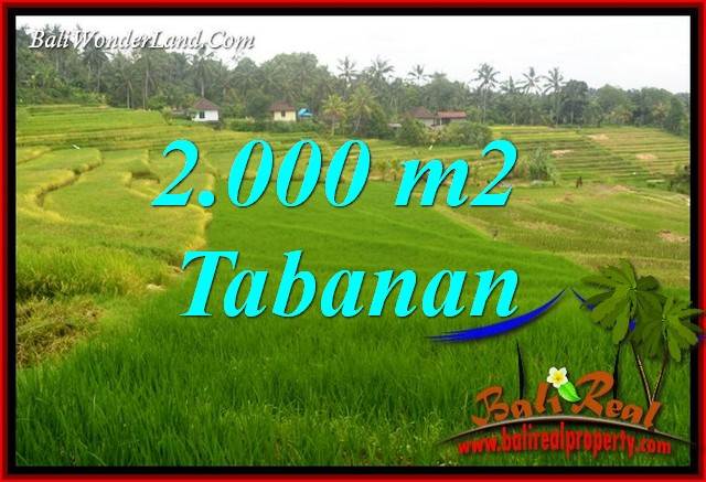 Tanah Dijual di Tabanan Bali 2,000 m2  View Sawah
