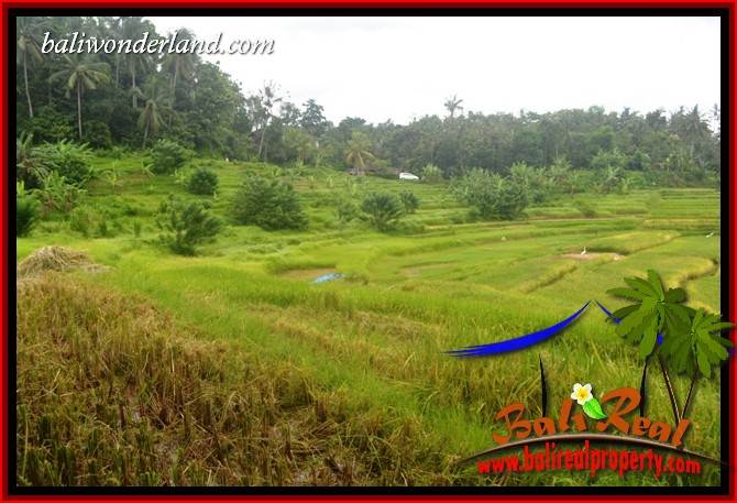 Tanah Dijual di Tabanan Bali 2,000 m2  View Sawah