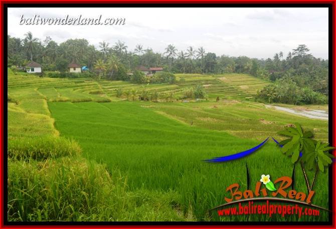 Tanah Dijual di Tabanan Bali 2,000 m2  View Sawah