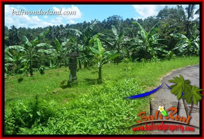 Tanah Murah Dijual di Tabanan Bali Untuk Investasi TJTB405