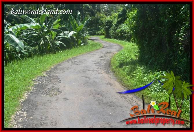 Tanah Murah Dijual di Tabanan Bali Untuk Investasi TJTB405