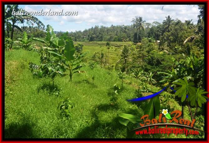 Tanah Murah Dijual di Tabanan Bali Untuk Investasi TJTB405
