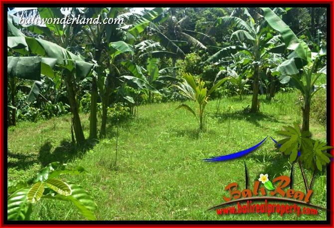 Tanah Murah Dijual di Tabanan Bali Untuk Investasi TJTB405