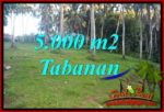 Tanah Murah Dijual di Tabanan Bali TJTB408
