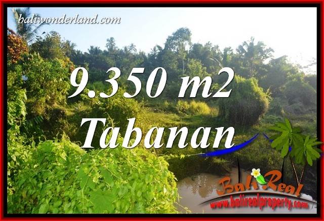 JUAL Tanah di Tabanan Bali Untuk Investasi TJTB409