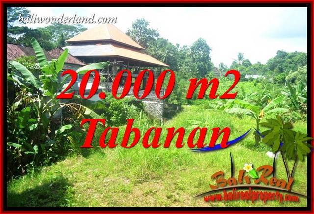 Tanah Murah Dijual di Tabanan Untuk Investasi TJTB418
