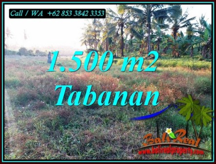 TANAH di TABANAN DIJUAL TJTB497