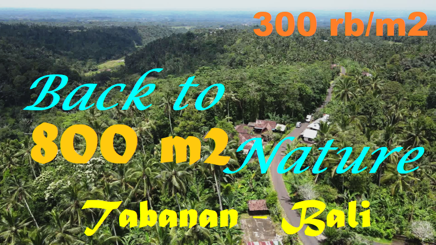 JUAL TANAH DI TABANAN 800 m2  View Gunung dan Jungle