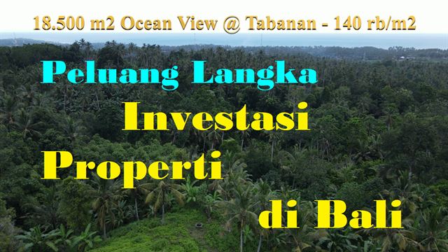 INVESTASI PROPERTI, DIJUAL TANAH DI TABANAN BALI TJTB602
