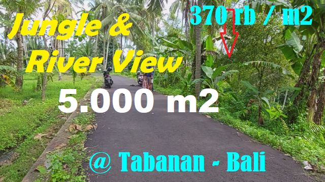 TANAH DIJUAL MURAH di TABANAN BALI TJTB607