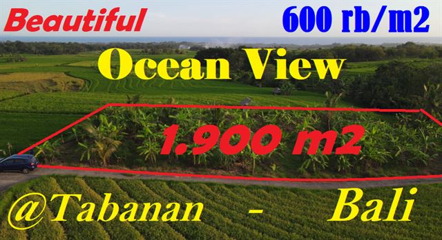 INVESTASI PROPERTY, TANAH MURAH di TABANAN BALI DIJUAL TJTB612