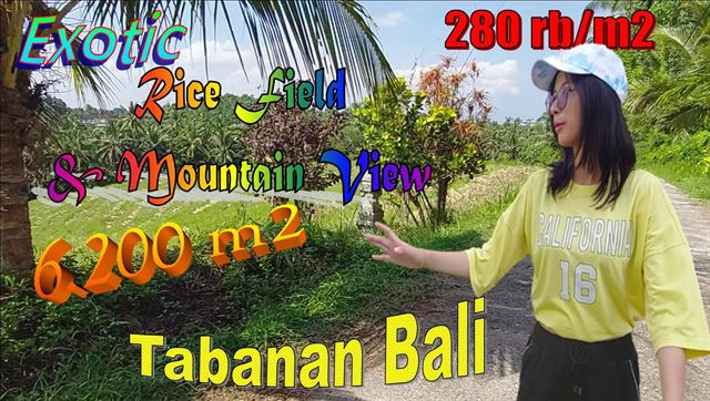 TANAH MURAH di TABANAN BALI Untuk INVESTASI TJTB615